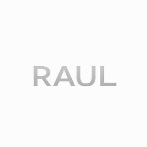 designdesign (designdesign)さんの環境・エネルギー×IT企業 RAUL株式会社の会社サイトのロゴへの提案