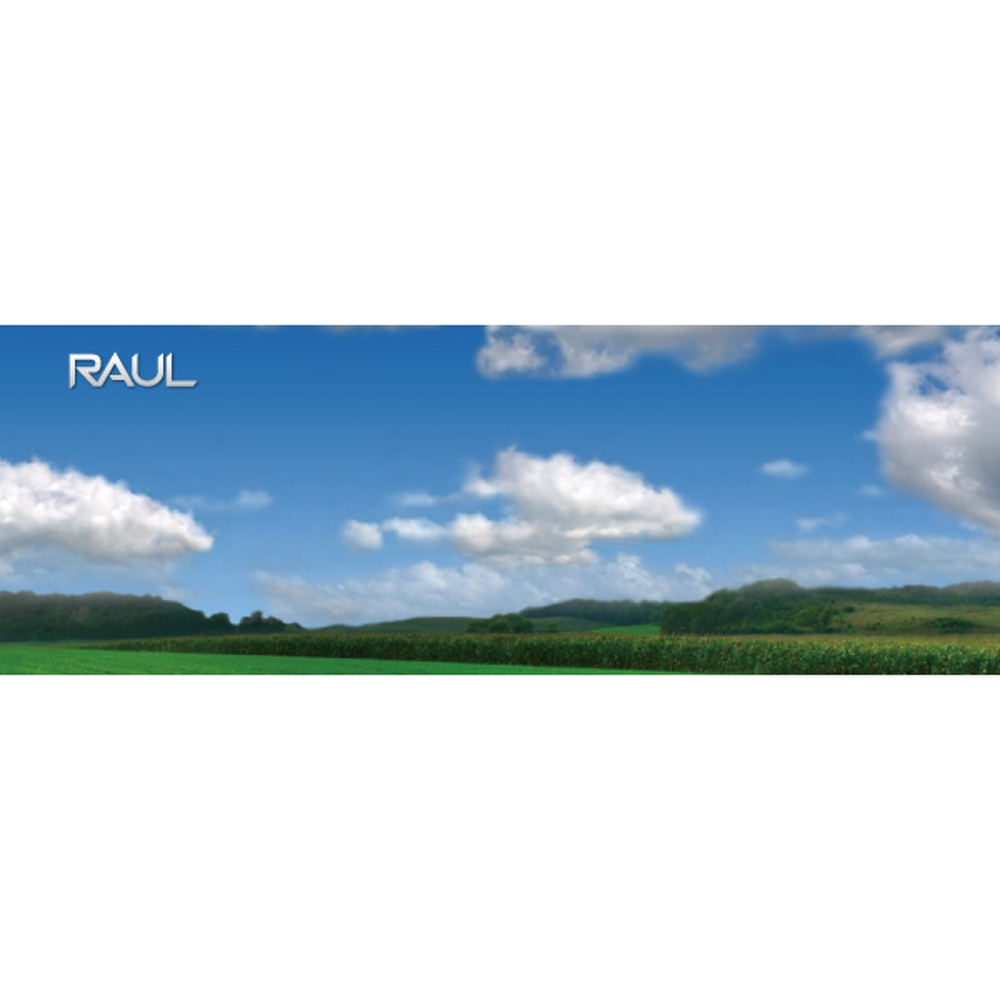RAUL1-2.jpg