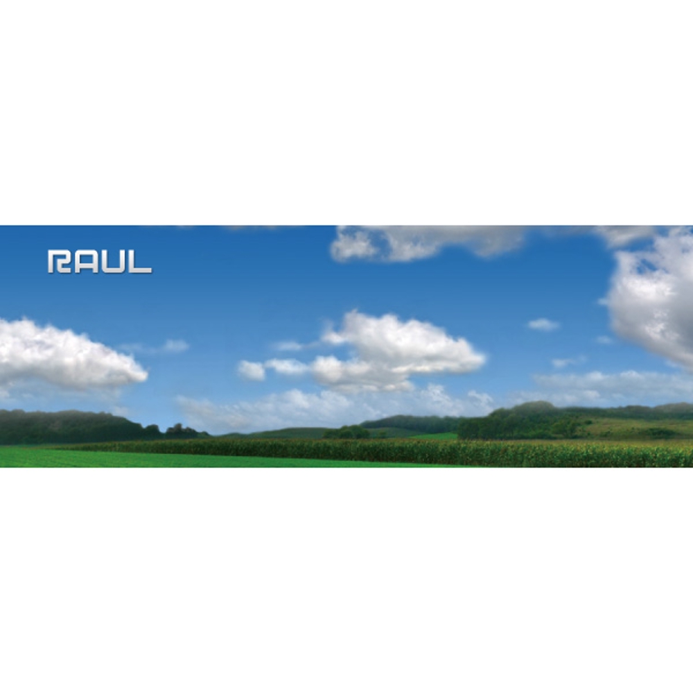 RAUL2-2.jpg