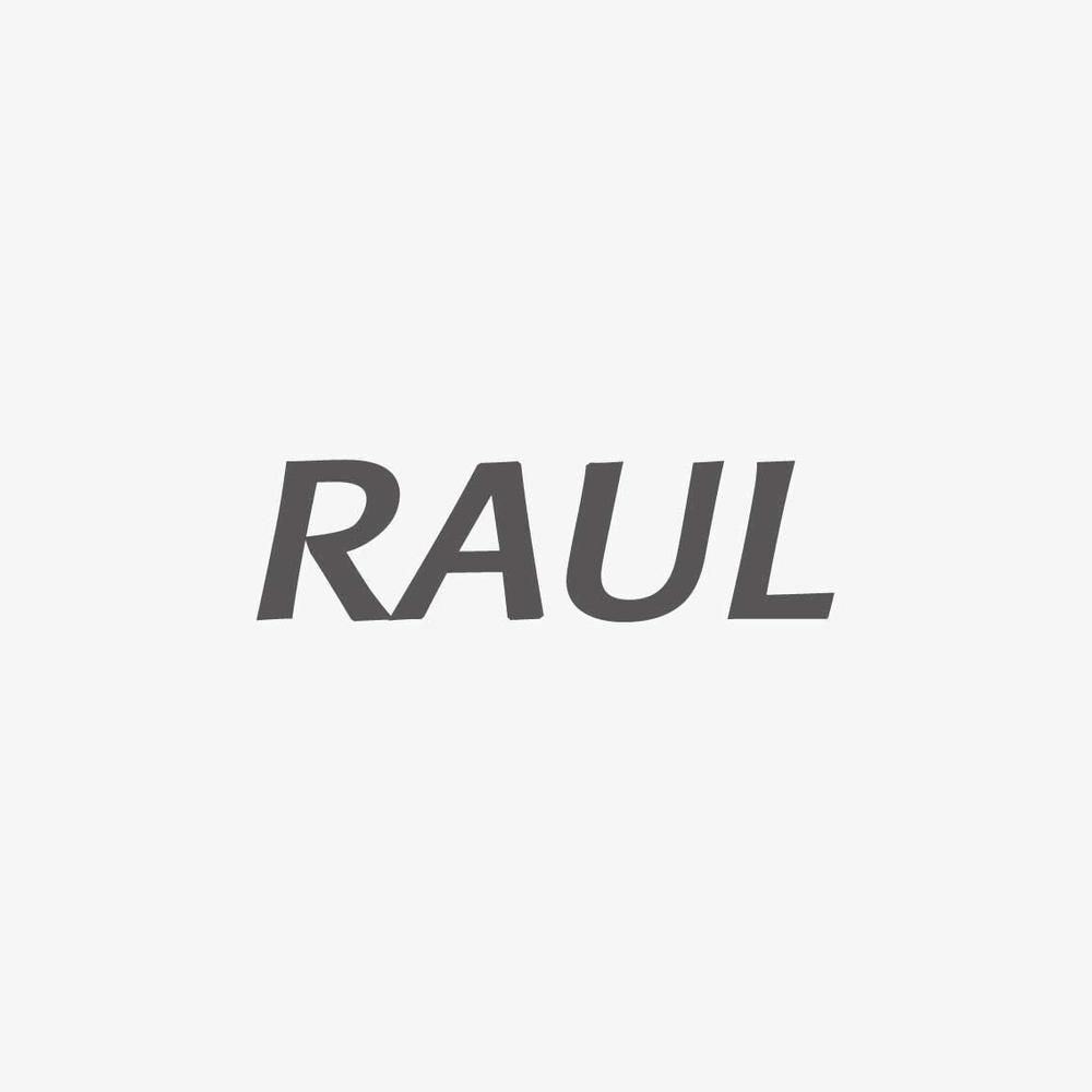 環境・エネルギー×IT企業 RAUL株式会社の会社サイトのロゴ