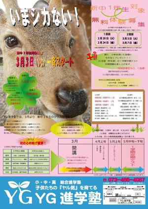 midorinoさんの学習塾の新規塾生募集チラシへの提案