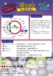 blueberry flyer-02.jpg
