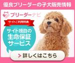 ii2kさんの優良ブリーダーの子犬販売情報サイトのリスティング用バナー制作【コンペ後の個別プロジェクトあり】への提案