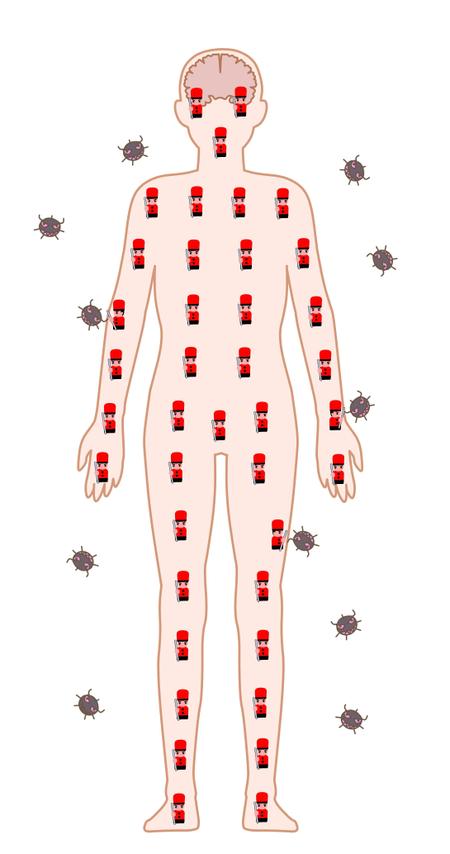 鈴丸 (suzumarushouten)さんの人の体を免疫という100人の兵隊が守っている図への提案