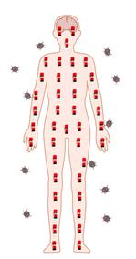 鈴丸 (suzumarushouten)さんの人の体を免疫という100人の兵隊が守っている図への提案