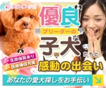 MRK_design OGAWA (design_tm)さんの優良ブリーダーの子犬販売情報サイトのリスティング用バナー制作【コンペ後の個別プロジェクトあり】への提案