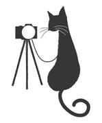 安武麻紀 (mokacoco)さんの名刺の挿絵　猫とカメラのシルエットイラストへの提案