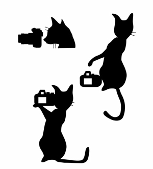 さんの名刺の挿絵　猫とカメラのシルエットイラストへの提案