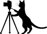 sarutoraさんの名刺の挿絵　猫とカメラのシルエットイラストへの提案