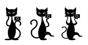 ak1121さんの名刺の挿絵　猫とカメラのシルエットイラストへの提案
