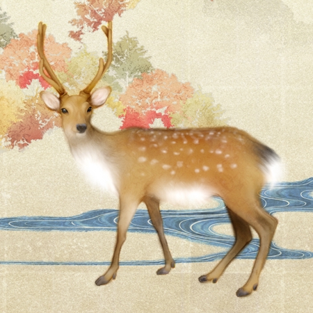 日本画タッチの雄の日本鹿イラスト募集の仕事 依頼 料金 イラスト