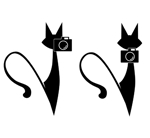 濱レイタ (-Reita-)さんの名刺の挿絵　猫とカメラのシルエットイラストへの提案