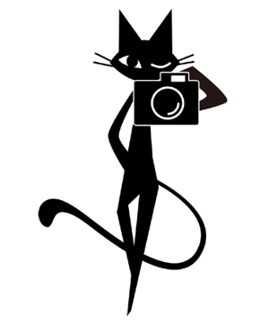 濱レイタ (-Reita-)さんの名刺の挿絵　猫とカメラのシルエットイラストへの提案