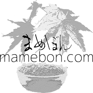 Takahiro@zuisho ()さんの豆盆栽ショップ『まめぼん（mamebon.com）』のロゴへの提案