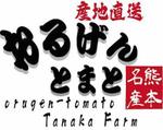 keee-design (keee-design)さんの熊本県のトマト農園 「おるげんとまと」のロゴへの提案