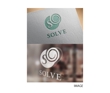 SOLVE_EX.jpg