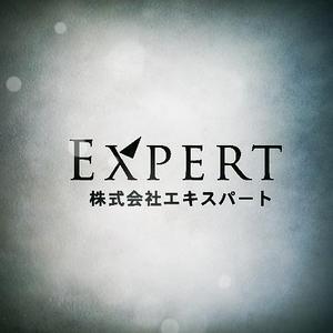 acve (acve)さんのシステム提供会社のロゴデザイン　キャラクターに合ったロゴ作成への提案