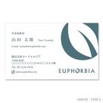 saobitさんの株式会社「EUPHOLBIA（ユーフォルビア）」の名刺デザイン作成依頼への提案