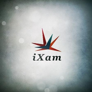 acve (acve)さんのインターネット広告を一元管理するシステム『iXam（イグザム）』のロゴへの提案