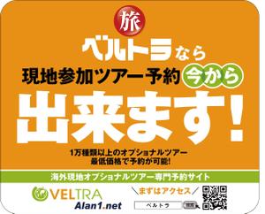 mados (mados)さんの【電車内広告】１万ツアー以上を販売する「現地オプショナルツアー専門サイト」の販促広告ステッカーへの提案