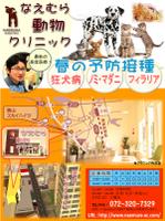 masasi3312142521さんの動物病院　春の予防シーズン案内のチラシへの提案