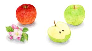 珠樹 ()さんのりんごのラベル　赤いりんごと緑のりんごへの提案