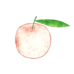 cosmo-tone (cosmo-tone)さんのりんごのラベル　赤いりんごと緑のりんごへの提案