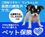 hidekazu_osakaさんのペット保険の比較サイト「くれあしおん」のバナー作成への提案