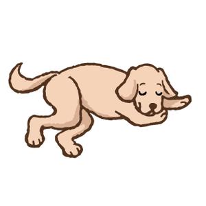 kropsworkshop (krops)さんのラブラドールのイラスト制作への提案
