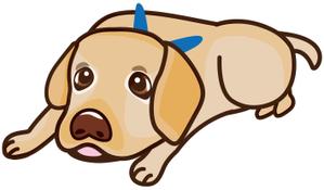 JJ ()さんのラブラドールのイラスト制作への提案