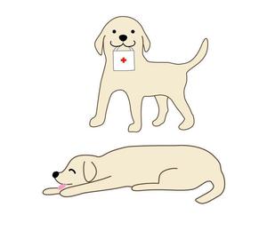 CUBE (cube1)さんのラブラドールのイラスト制作への提案