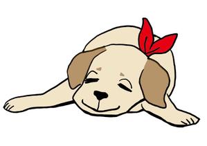 そのりょう (sonorah)さんのラブラドールのイラスト制作への提案