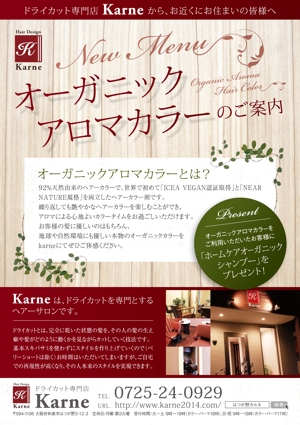 tareme (inagaki_hikari)さんのドライカット美容室「Karne」のチラシへの提案