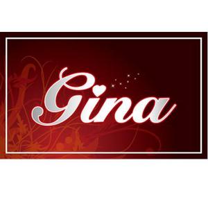 YOO GRAPH (fujiseyoo)さんの飲食店　『Zina』　の看板への提案