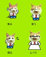 まきのこうじ (mata38)さんの会社のかわいい看板猫のイラスト化への提案