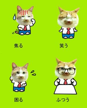 まきのこうじ (mata38)さんの会社のかわいい看板猫のイラスト化への提案