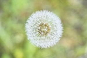 Kota.morishima ()さんのECで販売するオリジナル壁紙（クロス）のデザインへの提案
