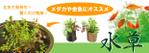 つむ (maitumuri)さんの水草のPOP作成への提案