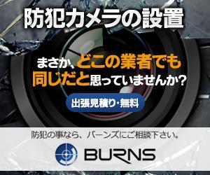 aine (aine)さんの防犯カメラ設置業者のバナーへの提案