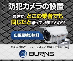 aine (aine)さんの防犯カメラ設置業者のバナーへの提案