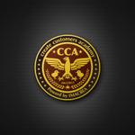 藤真圭一 (total-eclipse)さんのビジネススクールの「CCA」ロゴデザイン依頼への提案