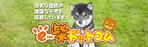 BASIC (do-basic)さんの柴犬販売サイトのヘッダー画像3種への提案