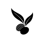 kuro-panさんの新規健康食品会社のロゴデザインへの提案