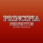 eiasky (skyktm)さんのインディーズゲーム『PRINCIPIA PERFECTUS（プリンキピア ペルフェクトゥス）』のタイトルロゴ制作への提案