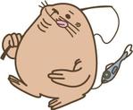 きいろ (treeee626)さんの動物トドをモチーフにしたキャラクターデザインへの提案