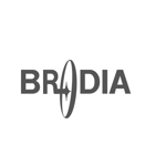Frolic (takuya64)さんの会社のロゴ製作　社名/BRODIA（ブローディア）への提案