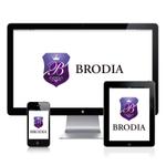 藤真圭一 (total-eclipse)さんの会社のロゴ製作　社名/BRODIA（ブローディア）への提案