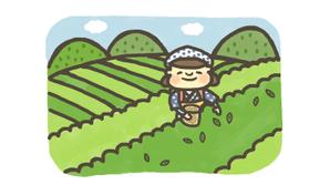 おまめ (omame113)さんのお茶に関するイラストへの提案