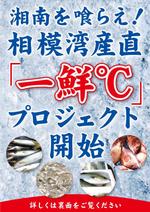 ルビーデザイン (ruby_m)さんの水産会社の新規事業におけるパンフレットへの提案