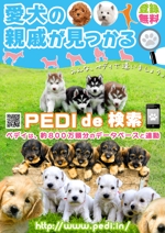 kyazoo (kyazoo)さんの愛犬の親戚が見つかるサイト「PEDI（ペディ）」のチラシデザイン依頼への提案